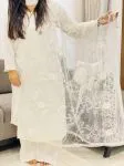 Aari Soft Net Dupatta  - White