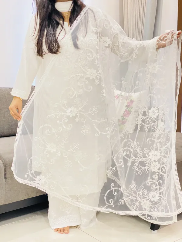 Aari Soft Net Dupatta
